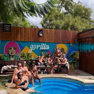 https://gorilla-hostel.hotelsmendoza.com